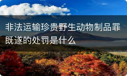 非法运输珍贵野生动物制品罪既遂的处罚是什么