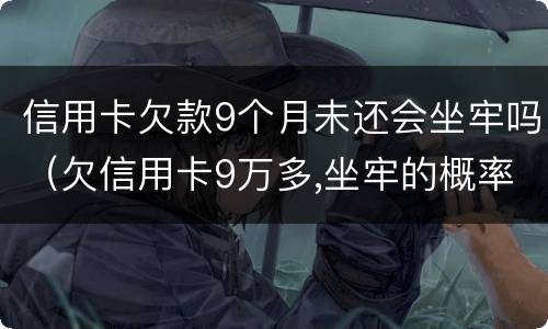 信用卡欠款9个月未还会坐牢吗（欠信用卡9万多,坐牢的概率是多大）