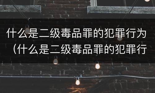什么是二级毒品罪的犯罪行为（什么是二级毒品罪的犯罪行为）