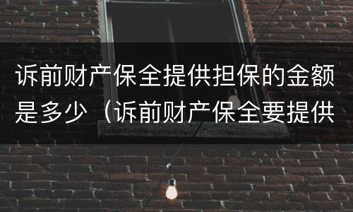 诉前财产保全提供担保的金额是多少（诉前财产保全要提供多少担保额）
