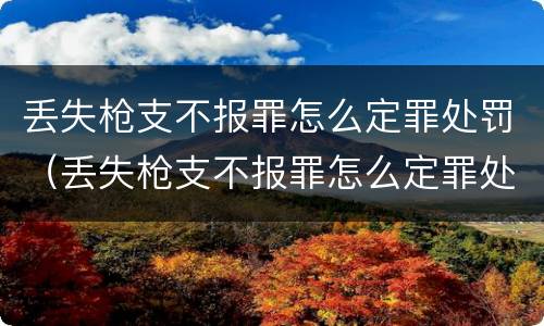 丢失枪支不报罪怎么定罪处罚（丢失枪支不报罪怎么定罪处罚条例）