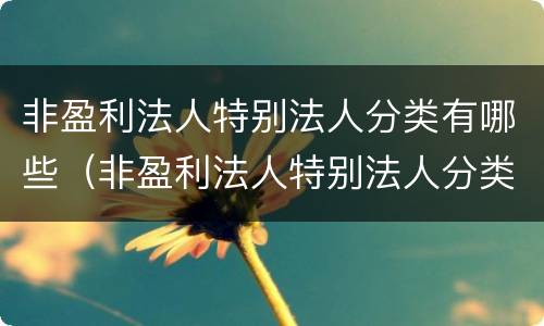 非盈利法人特别法人分类有哪些（非盈利法人特别法人分类有哪些类型）