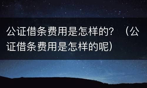 公证借条费用是怎样的？（公证借条费用是怎样的呢）