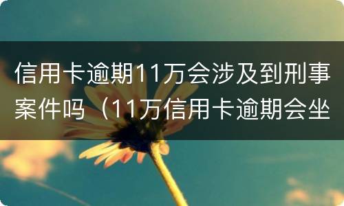 信用卡逾期11万会涉及到刑事案件吗（11万信用卡逾期会坐牢吗）