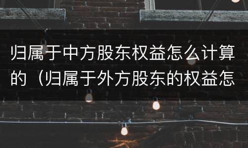 归属于中方股东权益怎么计算的（归属于外方股东的权益怎么填）