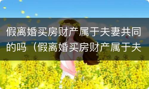 假离婚买房财产属于夫妻共同的吗(假离婚买房财产属于夫妻共同的吗怎么算) 假离婚买房财产属于夫妻共同的吗(假离婚买房财产属于夫妻共同的吗怎么算)