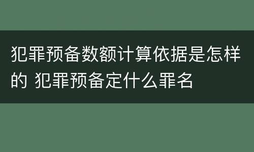 犯罪预备数额计算依据是怎样的 犯罪预备定什么罪名