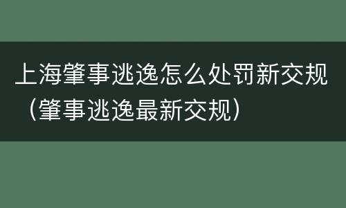 上海肇事逃逸怎么处罚新交规（肇事逃逸最新交规）