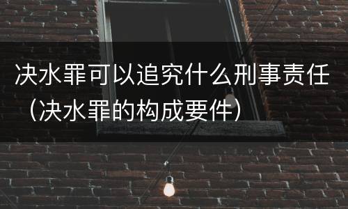 决水罪可以追究什么刑事责任（决水罪的构成要件）