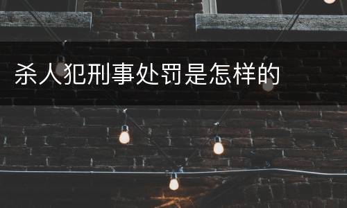 杀人犯刑事处罚是怎样的
