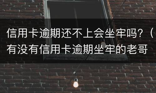 信用卡逾期还不上会坐牢吗?（有没有信用卡逾期坐牢的老哥）