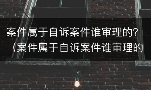 案件属于自诉案件谁审理的？（案件属于自诉案件谁审理的呢）
