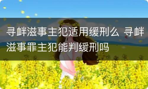 寻衅滋事主犯适用缓刑么 寻衅滋事罪主犯能判缓刑吗