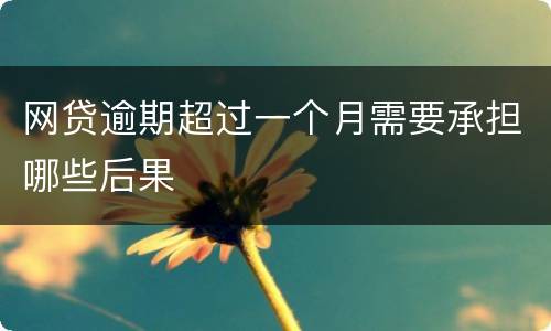 网贷逾期超过一个月需要承担哪些后果