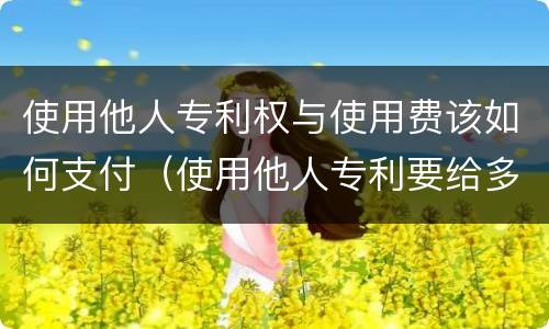使用他人专利权与使用费该如何支付（使用他人专利要给多少钱）