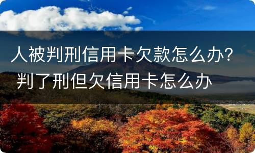 人被判刑信用卡欠款怎么办？ 判了刑但欠信用卡怎么办