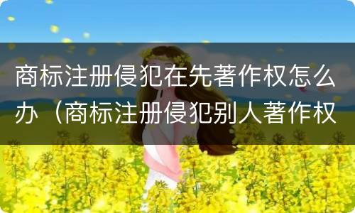 商标注册侵犯在先著作权怎么办（商标注册侵犯别人著作权）
