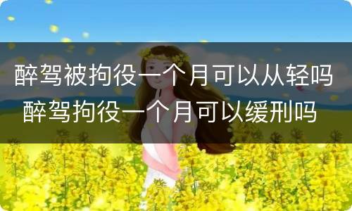 醉驾被拘役一个月可以从轻吗 醉驾拘役一个月可以缓刑吗