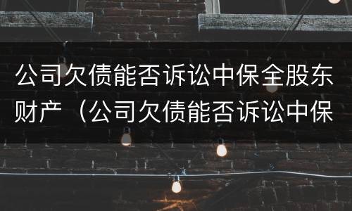 公司欠债能否诉讼中保全股东财产（公司欠债能否诉讼中保全股东财产权益）