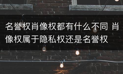 名誉权肖像权都有什么不同 肖像权属于隐私权还是名誉权