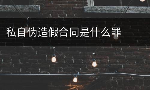 私自伪造假合同是什么罪