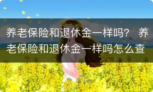 养老保险和退休金一样吗？ 养老保险和退休金一样吗怎么查