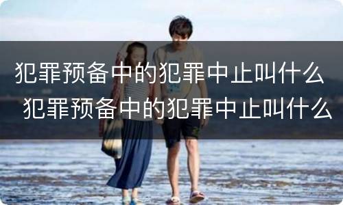 犯罪预备中的犯罪中止叫什么 犯罪预备中的犯罪中止叫什么名字