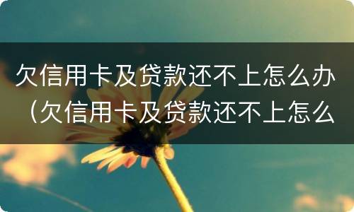欠信用卡及贷款还不上怎么办（欠信用卡及贷款还不上怎么办呢）