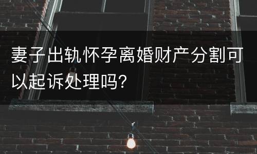 妻子出轨怀孕离婚财产分割可以起诉处理吗？