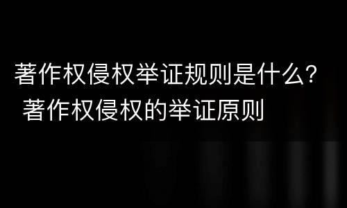 著作权侵权举证规则是什么？ 著作权侵权的举证原则