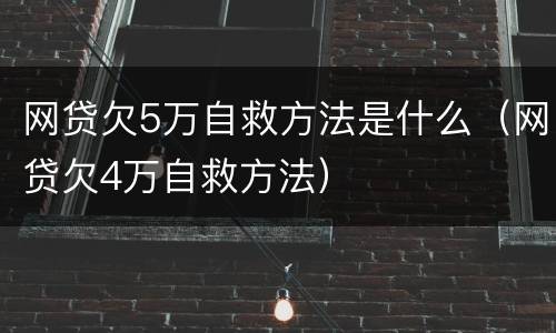 网贷欠5万自救方法是什么（网贷欠4万自救方法）