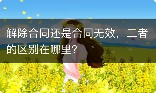 解除合同还是合同无效，二者的区别在哪里？