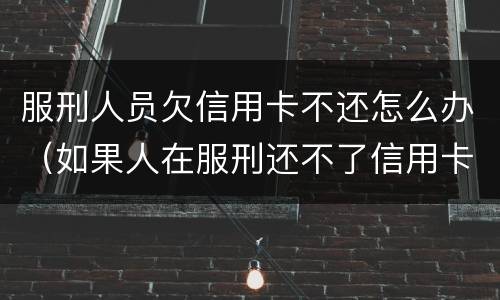 服刑人员欠信用卡不还怎么办（如果人在服刑还不了信用卡怎么办）