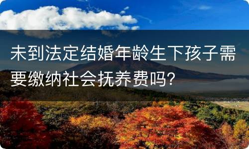 未到法定结婚年龄生下孩子需要缴纳社会抚养费吗？