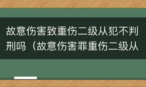 故意伤害致重伤二级从犯不判刑吗（故意伤害罪重伤二级从犯判几年）