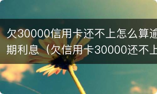 欠30000信用卡还不上怎么算逾期利息（欠信用卡30000还不上怎么办）