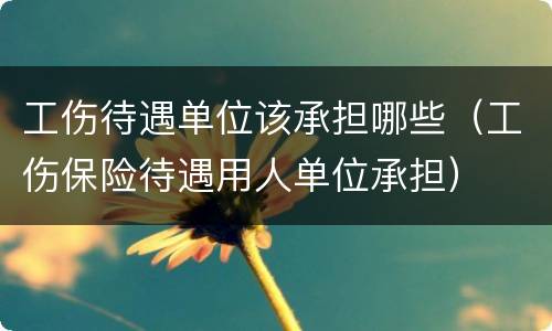 工伤待遇单位该承担哪些（工伤保险待遇用人单位承担）