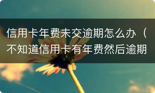 信用卡年费未交逾期怎么办（不知道信用卡有年费然后逾期）