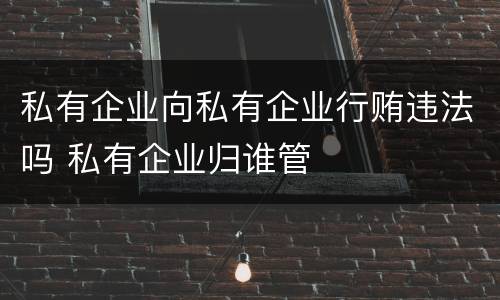 私有企业向私有企业行贿违法吗 私有企业归谁管