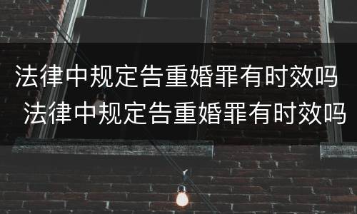 法律中规定告重婚罪有时效吗 法律中规定告重婚罪有时效吗为什么