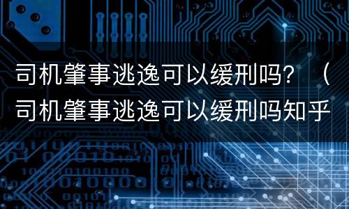 司机肇事逃逸可以缓刑吗？（司机肇事逃逸可以缓刑吗知乎）