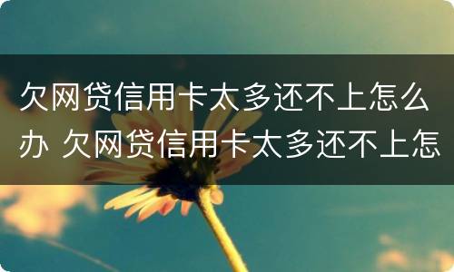 欠网贷信用卡太多还不上怎么办 欠网贷信用卡太多还不上怎么办呢