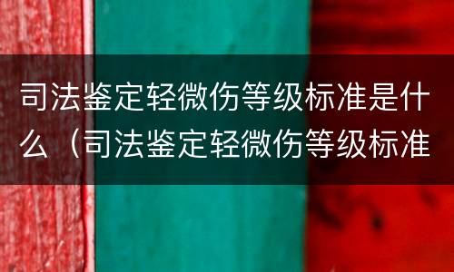 司法鉴定轻微伤等级标准是什么（司法鉴定轻微伤等级标准是什么样的）