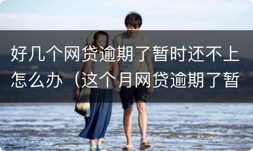 好几个网贷逾期了暂时还不上怎么办（这个月网贷逾期了暂时还不上怎么办）