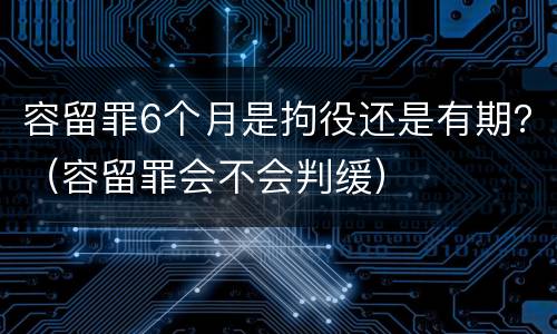 容留罪6个月是拘役还是有期？（容留罪会不会判缓）