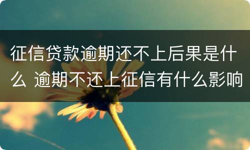 征信贷款逾期还不上后果是什么 逾期不还上征信有什么影响