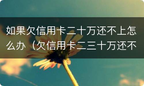 如果欠信用卡二十万还不上怎么办（欠信用卡二三十万还不起怎么办）