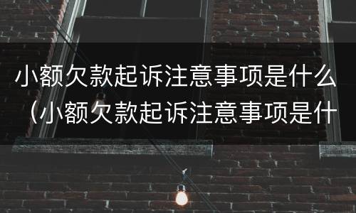 小额欠款起诉注意事项是什么（小额欠款起诉注意事项是什么意思）