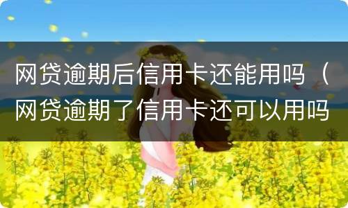 网贷逾期后信用卡还能用吗（网贷逾期了信用卡还可以用吗）