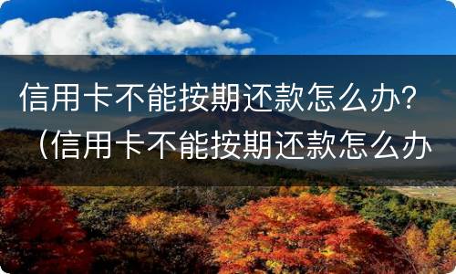 信用卡不能按期还款怎么办？（信用卡不能按期还款怎么办呀）